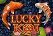 Lucky Koi